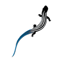 Cane Creek logo