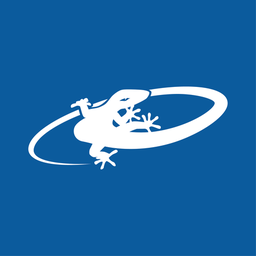 Lizard Skins logo