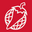 Salsa logo