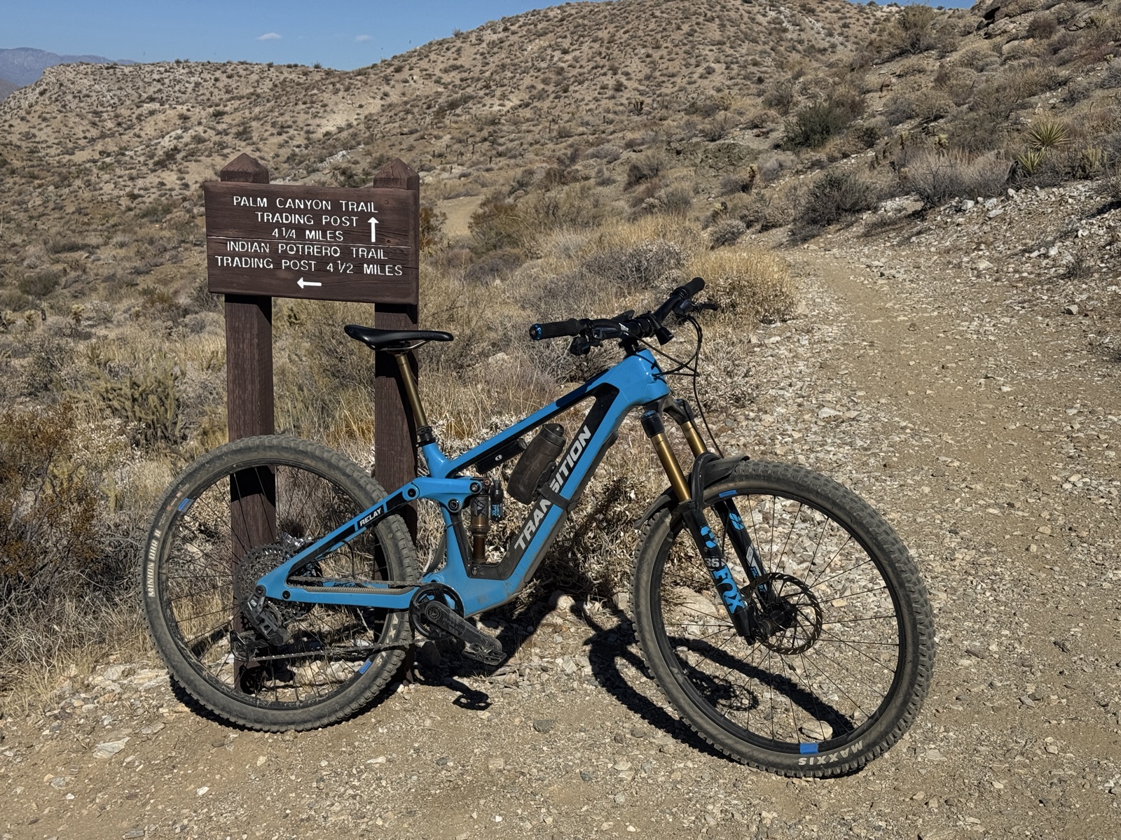 Palm Canyon